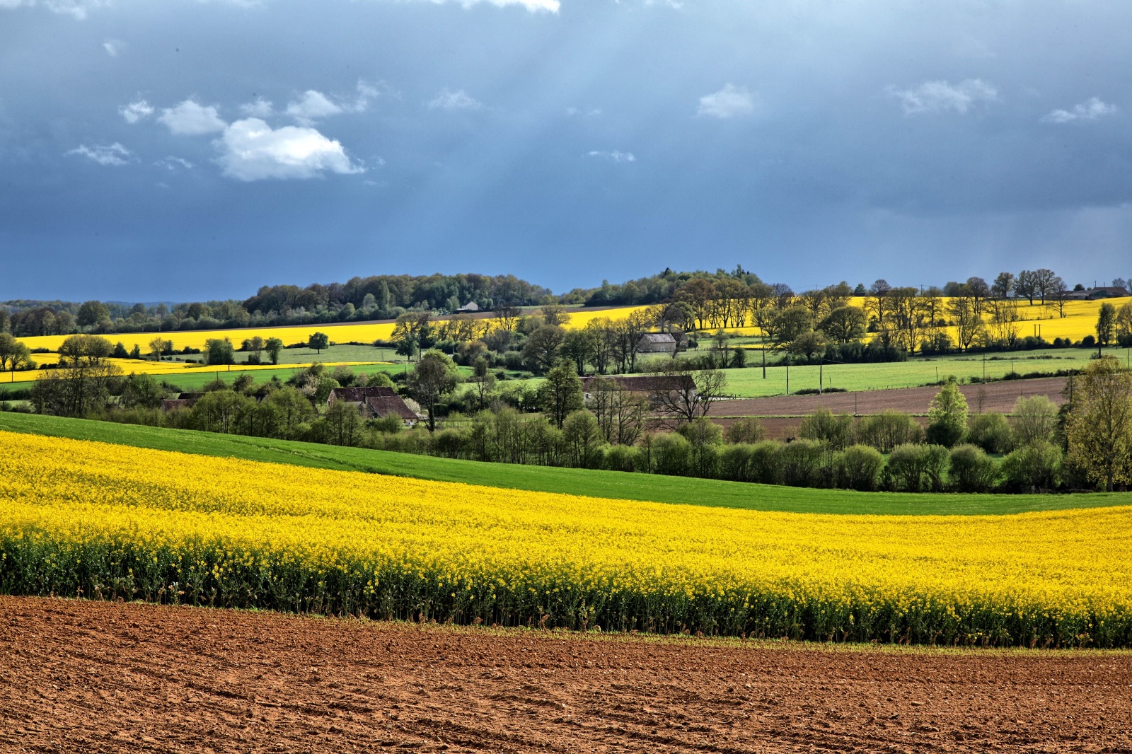 Rolling farmland with bright yellow rapeseed fields, ploughed earth and stone farm buildings under a stormy sky